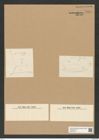 Odontotropis sp. (de-Toni-Nr.: Genus 124) Zeichnungen Sammlung Grunow Nr. 7004 (NHMW-BOT-W0375916)